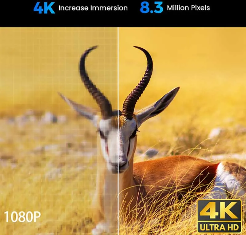 CASIRIS H6 圖片 016